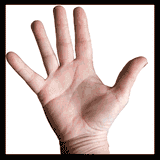 waving-hand-playing-counting-jpgajpfh8r5qf49s