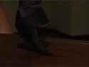 Trish Stratus Rubs down some wood_480p-1_thumb.jpg