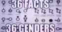 36 genders_thumb.jpg
