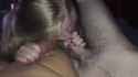 1329_thumb.jpg