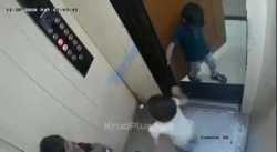 VID_20240614_032543_440_thumb.jpg