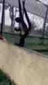 1745019698WedQl27U7rIq9g_thumb.jpg
