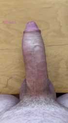 RDT_20250705_023903_thumb.jpg