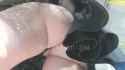 UP Pussy 2_thumb.jpg