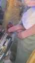 BWC51ecede36e482_thumb.jpg