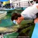 Dumbass gets KO&#039;d by Fish, falls unconscious into the Aquarium and drowns_thumb.jpg
