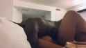 ssstwitter.com_1717350154087_thumb.jpg