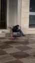 Walkable City - Black on White Crime - New arrivals from Africa, beating a native Spanish homeless person [63a639c0_20241128162556_t-1] (audio) (4MB)_thumb.jpg