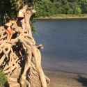fatty rope swing (2)_thumb.jpg