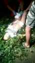 Woman Impaled By Tree Branch After Falling 6 Floors Down in Ukraine_thumb.jpg