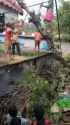 Poo-Jeet Dummies Attempt To Cut Down A Tree With A Chainsaw In India_thumb.jpg