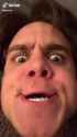 fligu_thumb.jpg