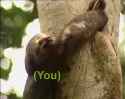 abc_thumb.jpg