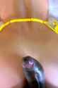 yellowbra_thumb.jpg