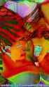1076_thumb.jpg