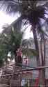 498fa2d006_thumb.jpg