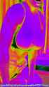 1084_thumb.jpg