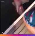 95 fishing_thumb.jpg
