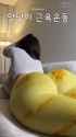 Video_20250709132348517_by_Filmix_thumb.jpg