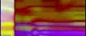 1170_thumb.jpg