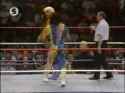 Undertaker_Randy_Savage_vs_Ric_Flair_Berzerker_thumb.jpg