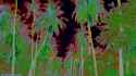 emf_0676_thumb.jpg