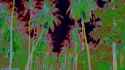 emf_0677_thumb.jpg