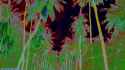 emf_0678_thumb.jpg