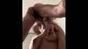 PN20ws_thumb.jpg