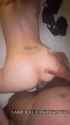 LABBCBull2_thumb.jpg