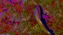 emf_0364_thumb.jpg