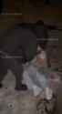 1734085333460353_thumb.jpg
