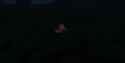 4lrn66_thumb.jpg