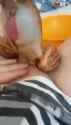 1680509157024902_thumb.jpg