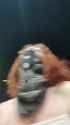 1738358973962283_thumb.jpg