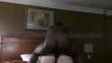 8241324_ITS.. IN MY ASS DADDY!! 4_720p_1_thumb.jpg
