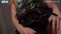Female-On-Male-JAV2_thumb.jpg