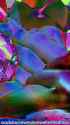 LN_0601_thumb.jpg