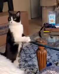 1000001747_thumb.jpg