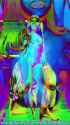 LN_0688_thumb.jpg