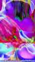 LN_0697_thumb.jpg