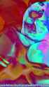 LN_0753_thumb.jpg