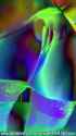 LN_0763_thumb.jpg