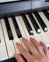 piano cat_thumb.jpg