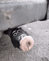 exhausted pipe