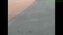 1466714011638_thumb.jpg