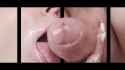 D34_thumb.jpg