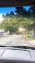 Vehicular Homicide (Attempted)_thumb.jpg