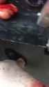 1744378765373833_thumb.jpg