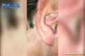 39e631355fd5_4791_thumb.jpg